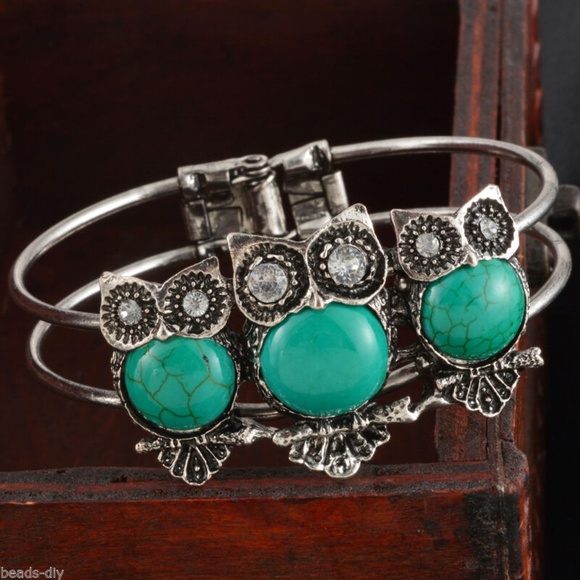 Lirrio's Closet Jewelry - Faux Turquoise Owl Hinged Bracelet NWT